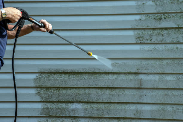 Best Vinyl Siding Pressure Washing in Athens, AL